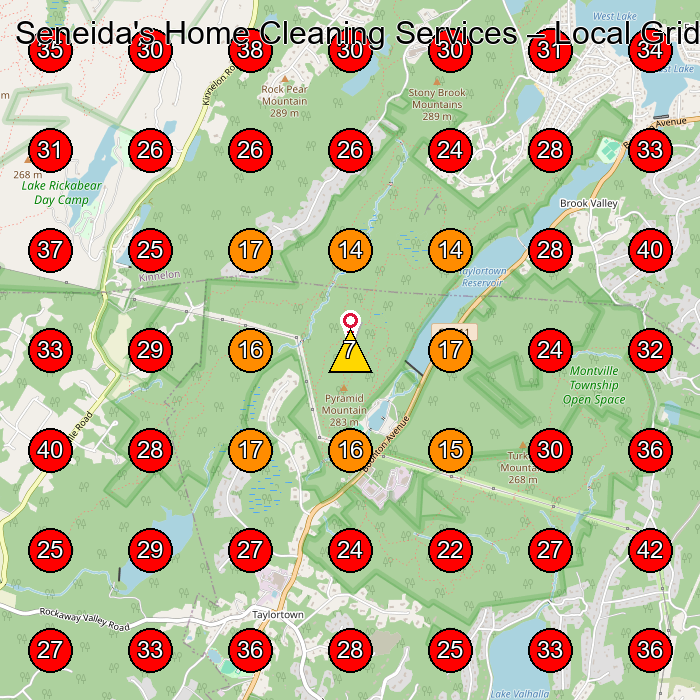 Seneida's Home Cleaning Services GeoGrid visibility map for House Cleaning Service in None